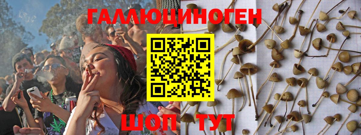 магазин    Псилоцибиновые грибы мицелий  Галлюциногенные грибы мухоморы  Вход с VPN  Саянск 